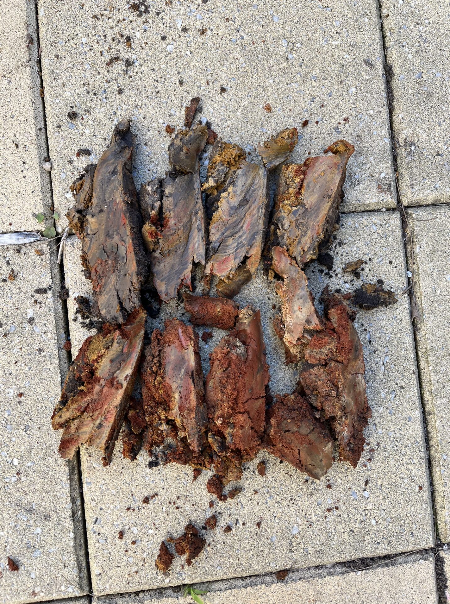 Soil from a Soil Test